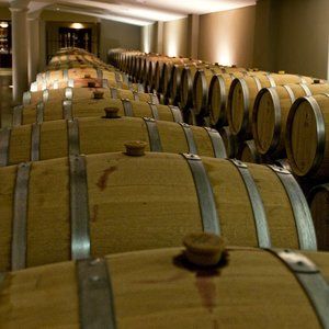 Meet your Posher, Anne